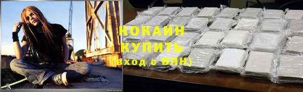 дмт Абаза