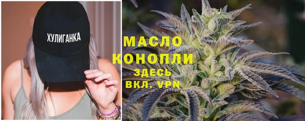 дмт Абаза