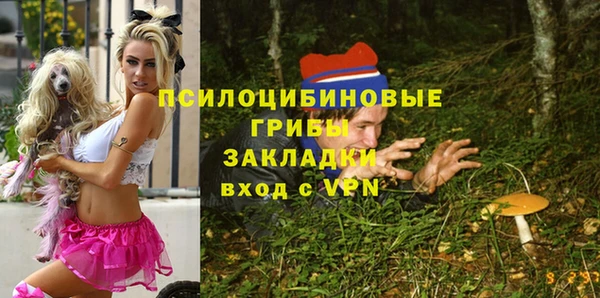 дурь Алексин